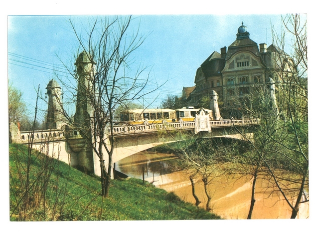 1836 - Timisoara. Pod peste Bega
